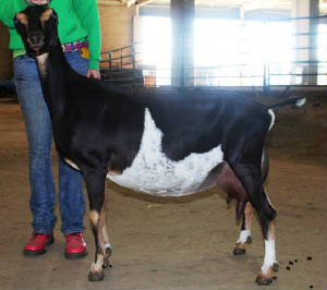 ally2011.jpg