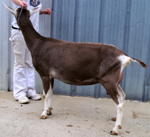 cira2010.jpg