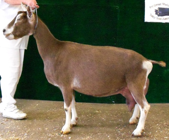 connie20101.jpg