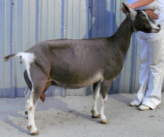 connie20102.jpg